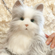 Illustration for article titled Hasbro Now Has a Toy Line For Seniors Starting With a Lifelike Robotic Cat